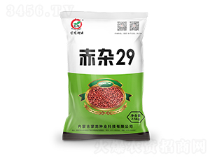 ����29-��������-������ҵ