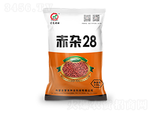 ����28-��������-������ҵ