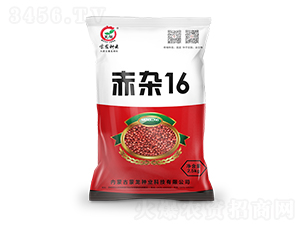 ����16-��������-������ҵ
