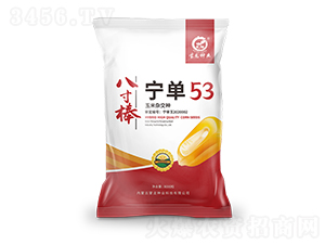 ����53-��������-������ҵ