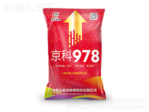 ����978���죩-��������-������ҵ