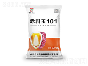 �����101-��������-������ҵ