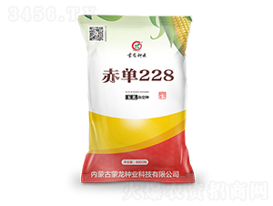 �൥228-��������-������ҵ