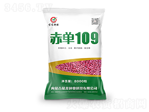 �൥109-��������-������ҵ