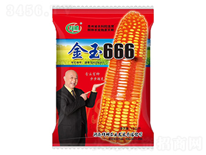 ����666-��������-Ⱥ˧
