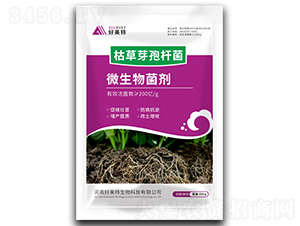 500g�ݲ�ѿ�߸˾�-������