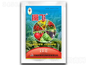 25g�ܷɣ��ۼ���-������