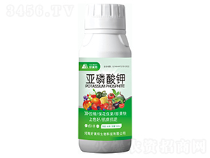 500g�������-������