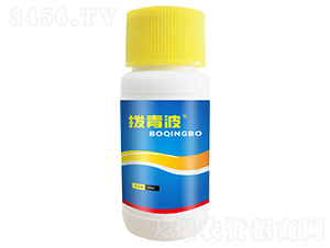 ���岨-������