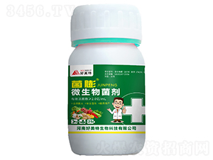 25g΢�������-����-������