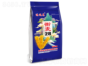 ����28С�����ӣ�����-������-������ҵ