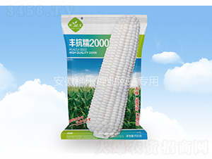 �ΌŴ2000-������ҵ