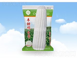 ����Ŵ6��-������ҵ