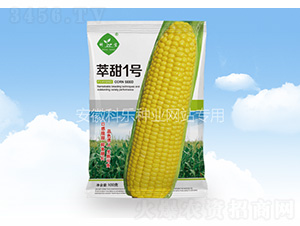 ����һ��-������ҵ