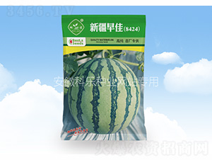 �½����8424-������ҵ