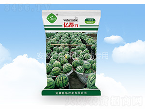 �ڶ�-������ҵ