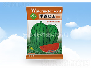 �紺����ڿڴ�-������ҵ