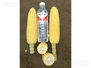 2019-531��������-ũ������