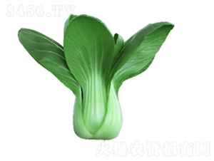 ����605�������-ũ������