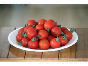 ��ӣK319-��������-ũ������