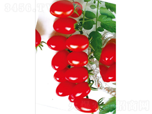 ��ӣK605-��������-ũ������