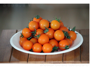 ��ӣK628-��������-ũ������