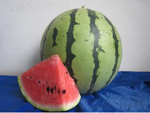 ����948-��������-ũ������