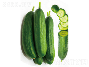 ����608-�ƹ�����-ũ������