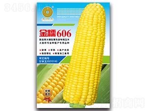����Ŵ��Ŵ606-��������-��Ϊ��ҵ