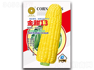 ����13-��������-��Ϊ��ҵ