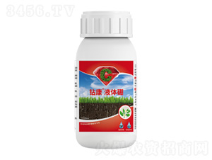 �꿵Һ����-�����ط�