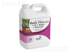 ��ɫ��SHAFIR-PLUSɳ�ʼ�Һ�����-�����ط�