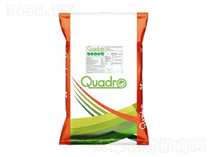 Լ��QUADROˮ�ܷ�-�����ط�
