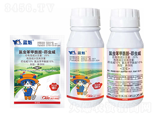 20%�ȳ汽�������������-��è�ǻ�