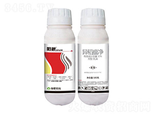 30%�쵾��������-����-½Ұũ��