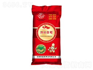 �껨8��-��������-��̫��