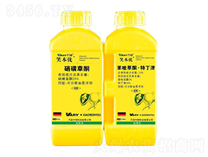 20%���ǲ�ͪ+33%�����ͪ���ض���-Ц����-����