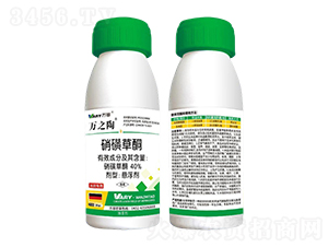 40%���ǲ�ͪ-��֮��-����