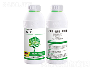 75%���ݰ���������������¡-����-����