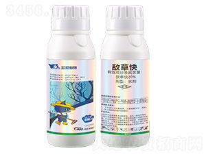 20%�вݿ�ˮ��-��è�ǻ�