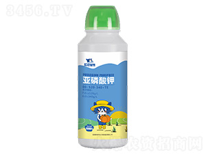 �������00-520-340+TE-��è�ǻ�
