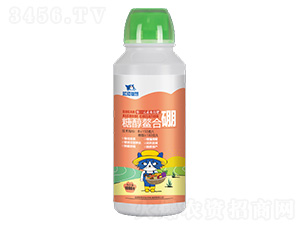 �Ǵ�������-��è�ǻ�