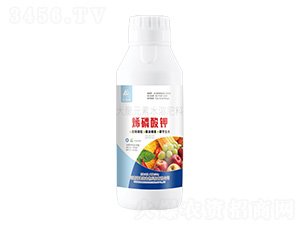 500g����Ԫ��ˮ�ܷ���-ϩ�����-������