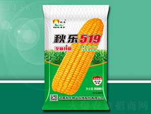 ����519-��������-������ҵ