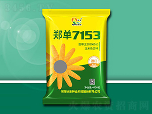 ֣��7153-��������-������ҵ