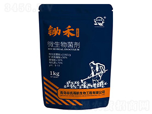 ����΢�������1kg-�����꺽