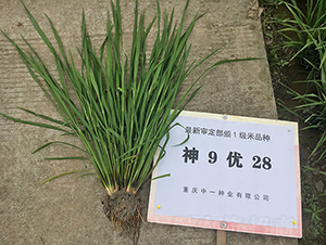 ��9��28�����浾��-ˮ������-��ũ�Ƽ�