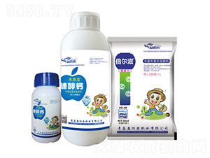 �Ǵ���-�̷���+������-���ũ��ҵ
