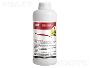 300��/�����ס�������1000ml-����-����
