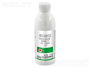 10%���������-���Ѷ�ŷ-����